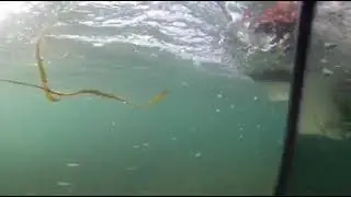 Underwater 360 maneuvering with Bravo 3 drive.