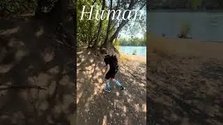 Monkey VS human climbing test