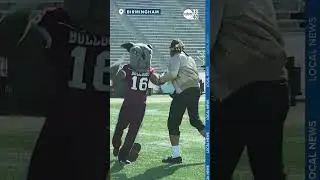 Cam Newton vs. the Alabama A&M Bulldog