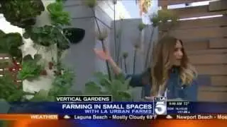 Farming In Small Spaces With LA Urban Farms