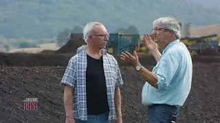 Будущее компоста &ndash; органическая роза