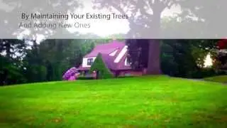 new jersey tree specialist - tree service in bergen county nj