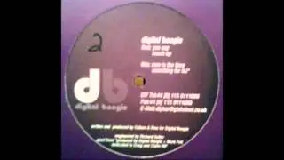 Digital Boogie - You Say [DiY Discs, 1997]