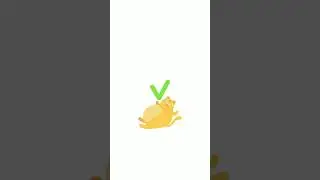 Brain Puzzle 99 Games Level 251 to 260 Walkthrough