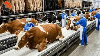 Inside Modern Cow Leather Factory: Raw Cow Skin to Luxury Bag (Full Process)