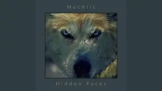 Wolf in the Woods
