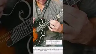 Riff 33. From the Mandolin Blues Book.#mandolin #guitar #musician #bluesmusic #bluegrass