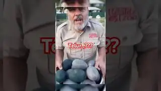 Telur Sebesar ini..?? #faktamenarik #news #ragamdunia #hewan #unik