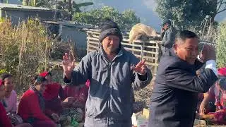 पुसे खाजा खाने कार्यक्रम २०८२ गुल्मि दरबार गा. पा. ४ रिमि