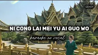NI CONG LAI MEI YU AI GUO WO - KARAOKE NO VOCAL