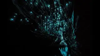 Waitomo Glowworm Caves Day Tour - GreatSights New Zealand