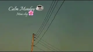 Calm Monday in the life of a content creator 🌹#goviral #minivlog 