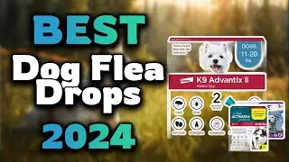 Top Best Dog Flea Drops in 2024 & Buying Guide - Must Watch Before Buying!