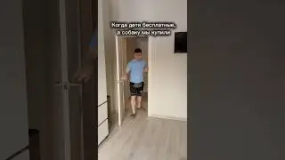 😅🐕 #юмор #смехпродлеваетжизнь #прикол #jandmcomedy #funny y