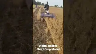 Horse Gram, Green Gram, Black Gram Cutting Digital Reaper 9981817652