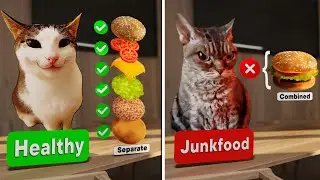 POV : Mom's Food Logic 🤦&zwj;♀️| Cat Meme Animations