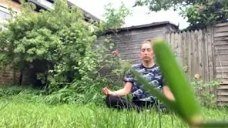 Backyard Meditation