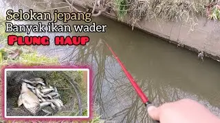 PANEN IKAN WADER DI SELOKAN JEPANG || JAPAN MICRO FISHING
