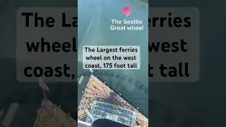 🇺🇸 From 175 foot tall Mesmerizing view shorts #seattle #usa #summer #ytshorts #holiday #america