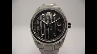 Обзор часов Rmalti RM001 (Grand Seiko Homage) 4K