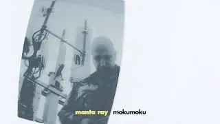 MokuMoku - Manta Ray