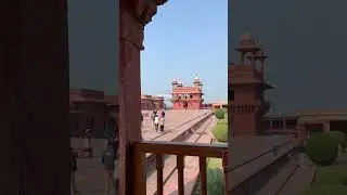 agra dimll || india agra taj mahal fort monkey blog diml viral fyp