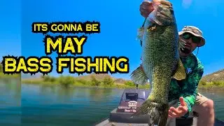 May Bass Fishing w/ JangoMike | Lake Perris May 2025 #fishing #jangomike #bass