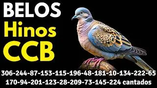 HINOS CCB 306-244-87-153-115-196-48-181-10-134-222-65-170-94-201-123-28-209-73-145-224 cantados