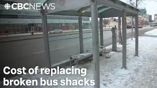 Winnipeg tests out shatterproof glass to curb costs of replacing broken bus shacks