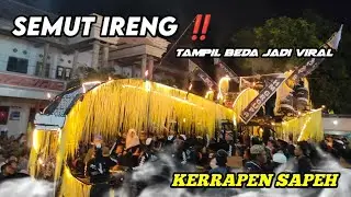 🔴 SEMUT IRENG‼️ LAGU KERRAPEN SAPEH VIRAL 🔥
