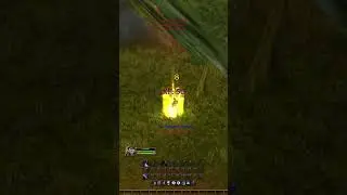 ScorpidTV SoloSelfFound level 2