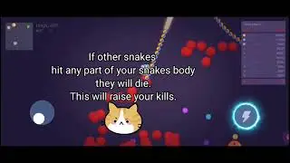 How to Play the Endless Mode of Crazy Snake?
