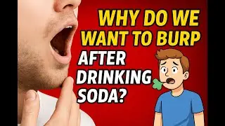 Why Do You Always Burp After Drinking Soda?
