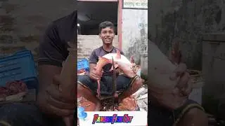 Amazing Great Delicious Pangas Fish Cutting Techniques | Fish Cutting Skills