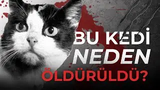 Geri D&ouml;nd&uuml; Ama Yaşatmadılar: Uzaya Giden Tek Kedinin Sırrı: Felicette...