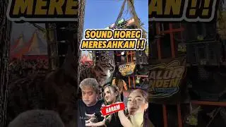 WARGA MUAK ! Sound Horeg diamuk Massa