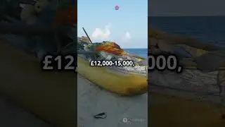 What &pound;250,000 Can Buy You in Seychelles