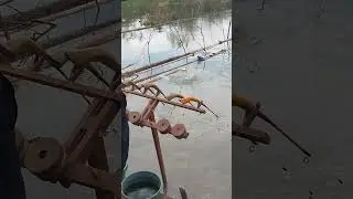 mancing alam liar..beleseng saguling