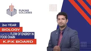 PGC Lectures-Inter Part 2-KPK Board-Biology-Chapter 25 - Flow of Energy in Food Chain