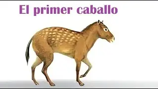 Eohippus - El primer caballo de la historia
