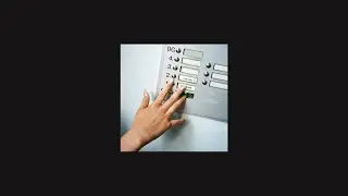 Logic1000 | Blossom | Therapy