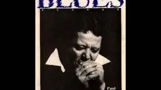 Why can't you love me   Paul deLay band