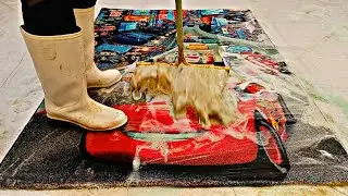 Extreme Carpet Cleaning ASMR | Deep Rug Cleaning & Satisfying Carpet Restoration🧼😍🤯