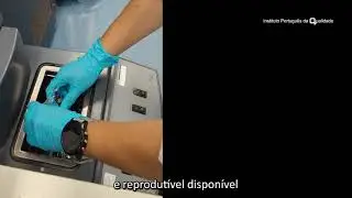 Realiza&ccedil;&atilde;o de uma C&eacute;lula de Ponto Triplo da &Aacute;gua no IPQ