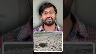 Ganga river or gutter?🤮 || #shorts #youtubeshorts