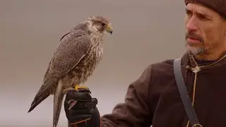 Guess which European nation has practiced falconry since ancient times!