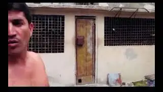 Carlos el abogado Palomero cubano como saber si tú palomo es bueno.