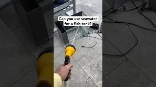 Can you use seawater for a fish tank??