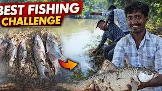 Rohu machhali ka chara ll Rohu Fish Bait l Rohu Fish Hook Bait ll Fishing Vlogger 