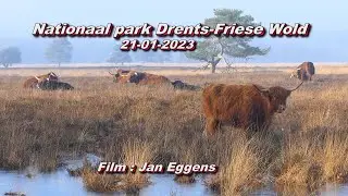 Nationaal Park Drents  Friese Wold 21 01 2023